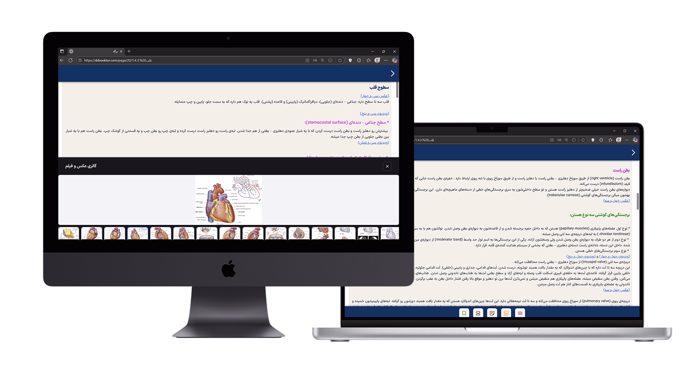 تصویر معرفی دکتربوکتر، کتاب‌های دیجیتال LSB و خدمات منتورینگ برای دانشجویان پزشکی